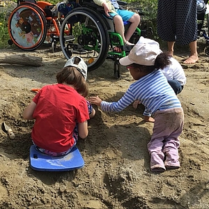 Projektwoche der Schulbildung Rossfeld unter dem Motto die Vielfalt des Lebens rund um Bern