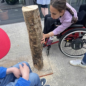 Holz impfen in der Stiftung Rossfeld