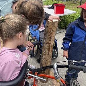 Holz impfen in der Stiftung Rossfeld