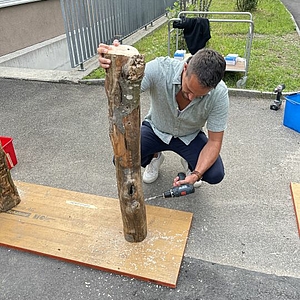 Holz impfen in der Stiftung Rossfeld