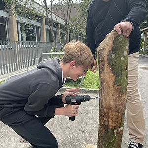 Holz impfen in der Stiftung Rossfeld